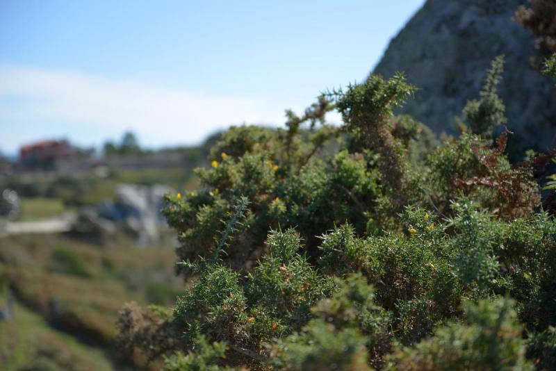 cabohome_020