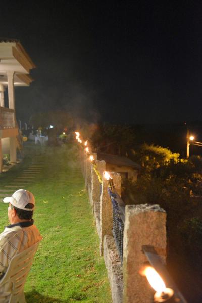 party_029