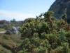 cabohome_020