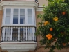 cadiz_0056