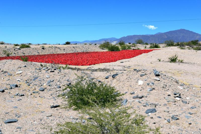cafayate_0016