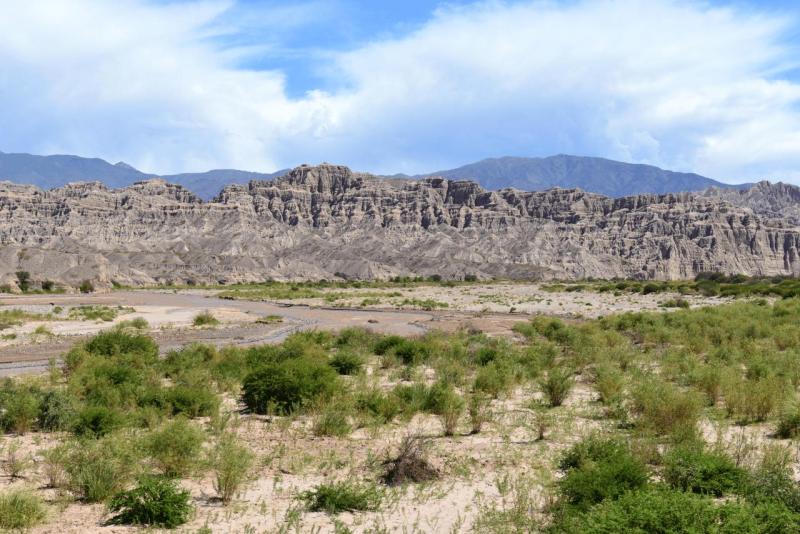 cafayate_0025