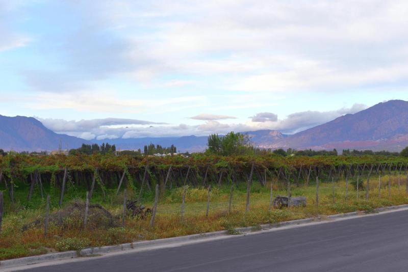 cafayate_0034