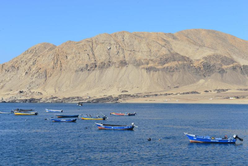 caleta_cifuncho_0012