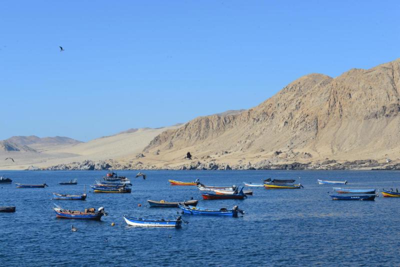 caleta_cifuncho_0013