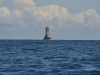 camaret_sur_mer_0001