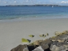 camaret_sur_mer_0096