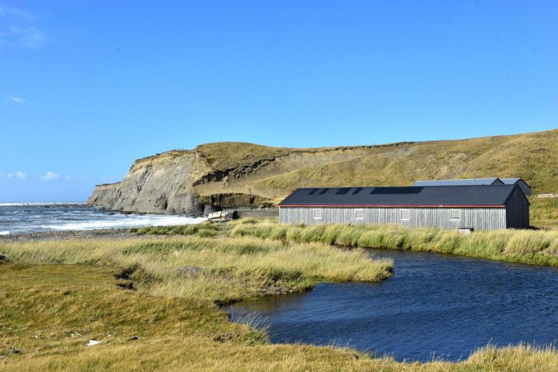 tolhuin_cameron_penguin_magallan_009