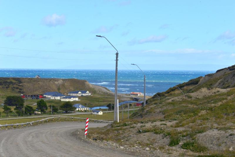 tolhuin_cameron_penguin_magallan_011