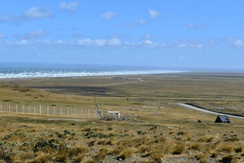 tolhuin_cameron_penguin_magallan_013