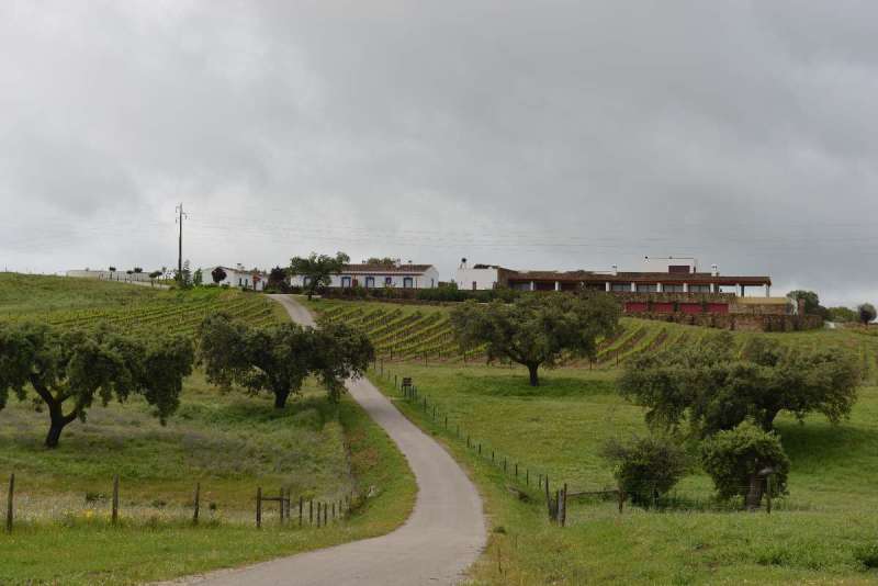 casa_da_urra_0026