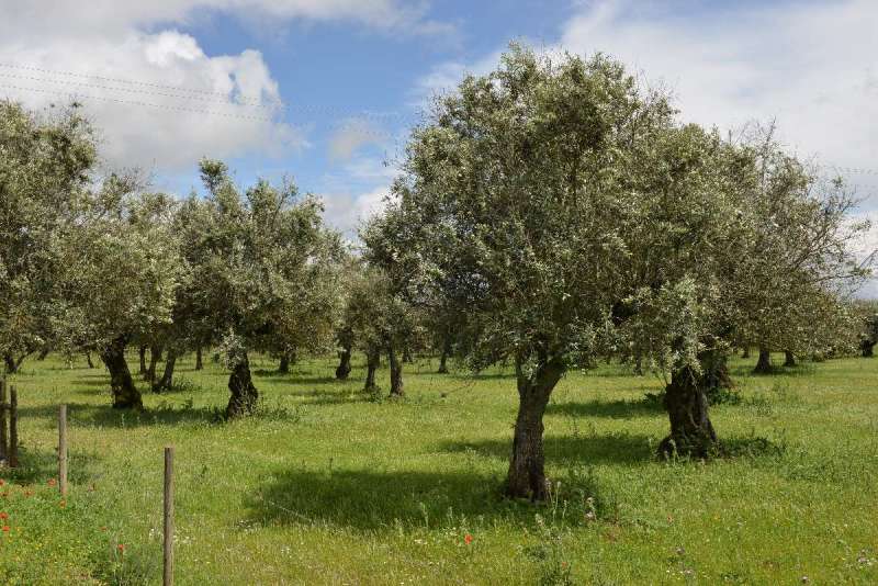 casa_da_urra_0086