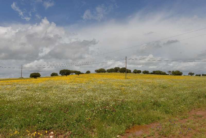 casa_da_urra_0096
