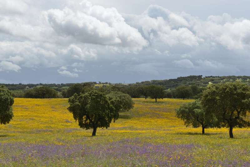 casa_da_urra_0106
