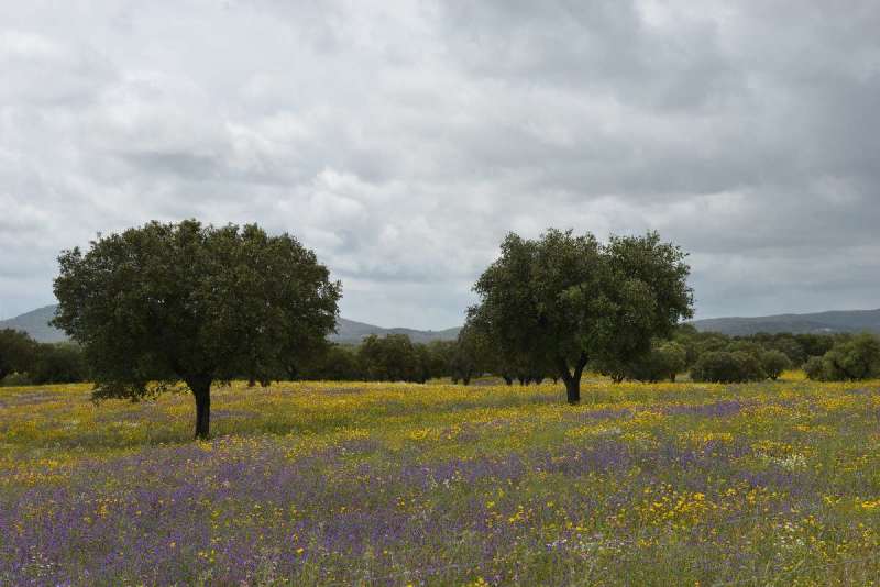 casa_da_urra_0111