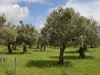 casa_da_urra_0086
