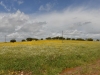 casa_da_urra_0096