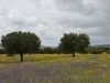 casa_da_urra_0111