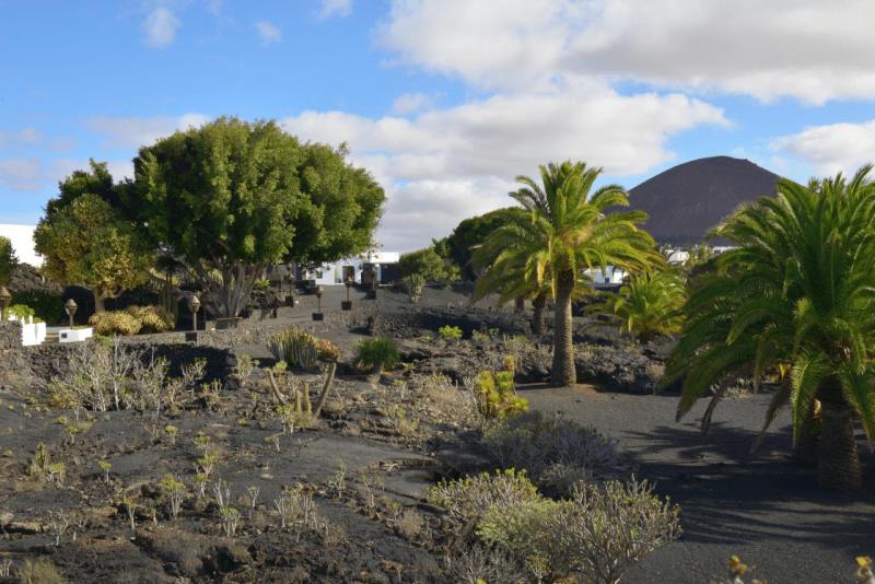 lanzarote_cesar_manrique_foundation_002