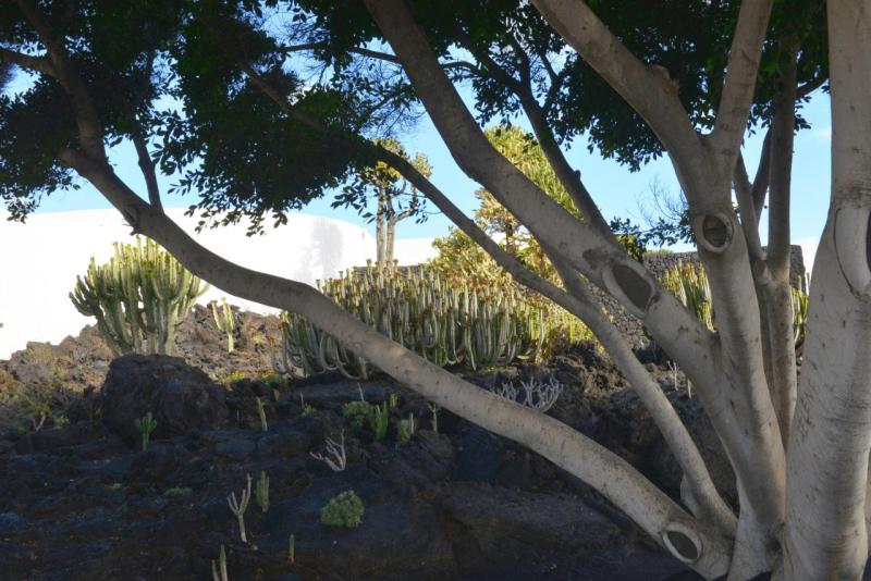 lanzarote_cesar_manrique_foundation_004