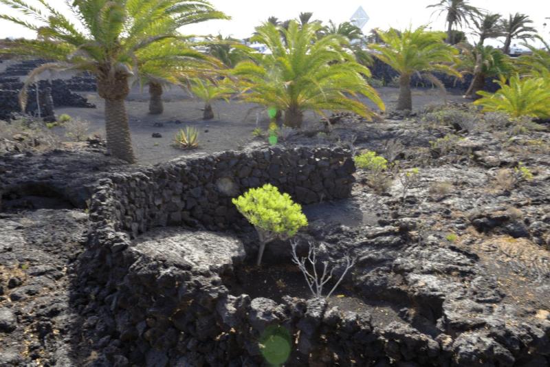 lanzarote_cesar_manrique_foundation_005