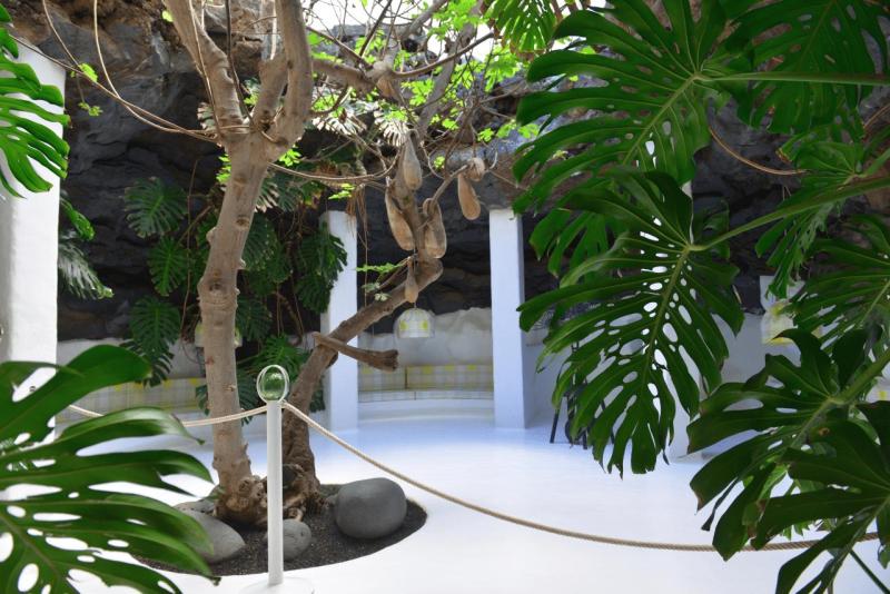 lanzarote_cesar_manrique_foundation_024