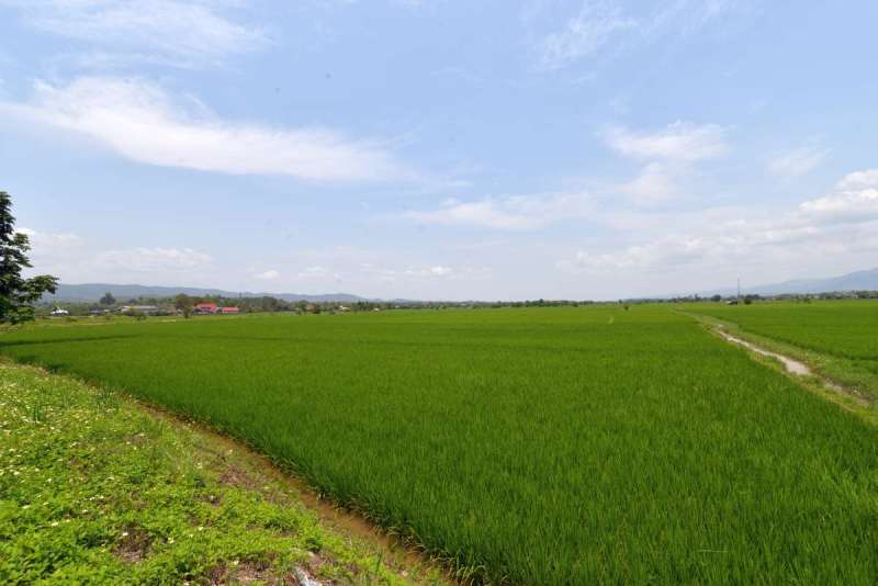 chiang_rai_0001
