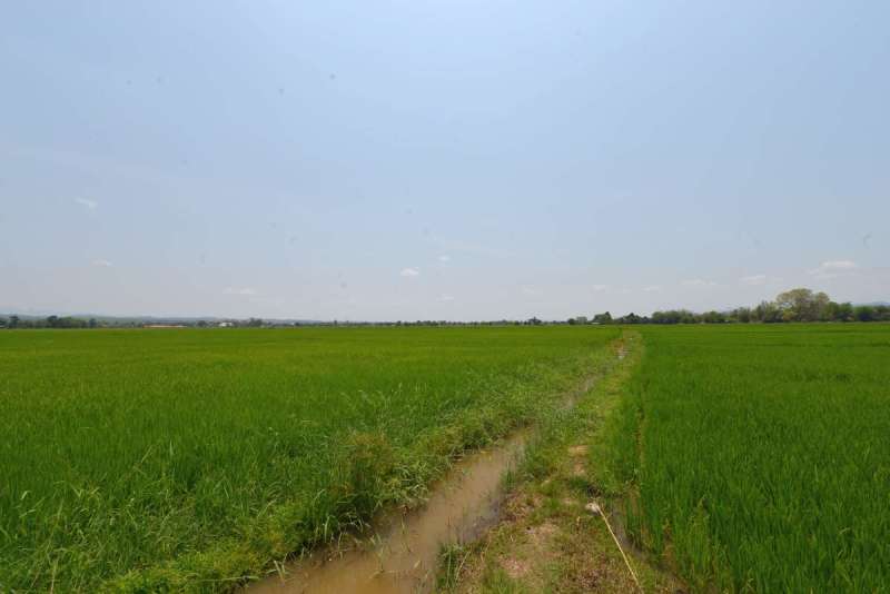 chiang_rai_0006