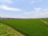 chiang_rai_0001