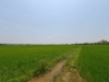 chiang_rai_0006