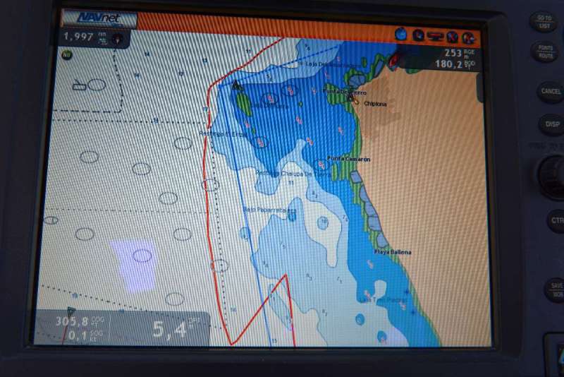 chipona_0091