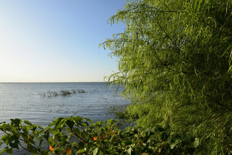 colonia_carlos_pellegrini_008