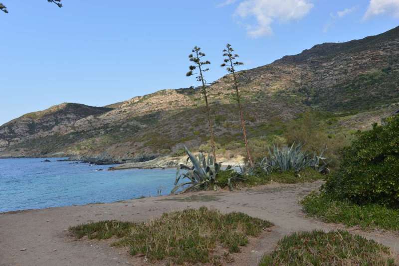 corsica_0041
