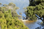 cradle_mountain_006