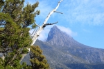 cradle_mountain_007