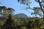 cradle_mountain_013