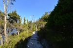 cradle_mountain_014
