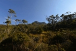 cradle_mountain_015