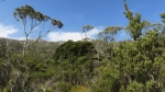 cradle_mountain_021