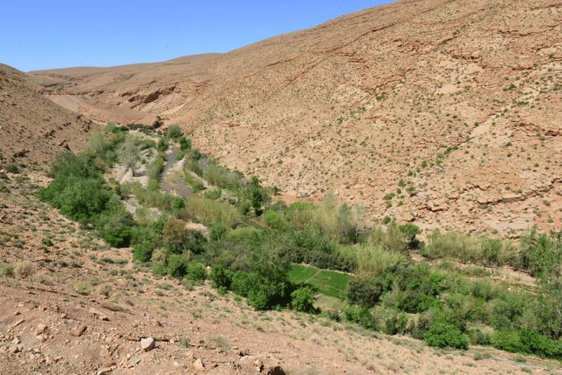 marokko_dades_schlucht_038