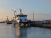 dänemark_hvide_sande_071