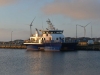 dänemark_hvide_sande_086