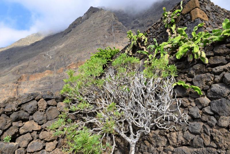 el_hiero_ecomuseo_de_guinea_017