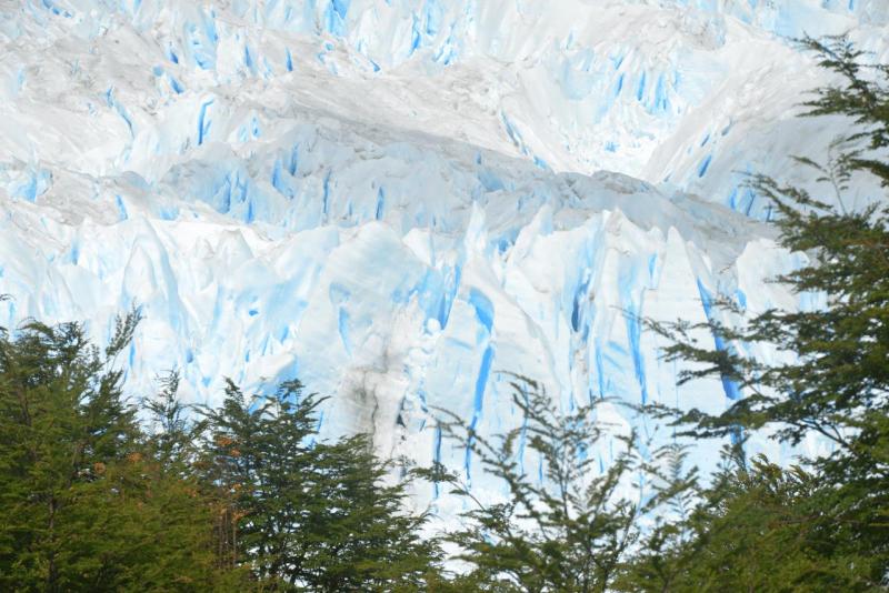 el_calafate_010