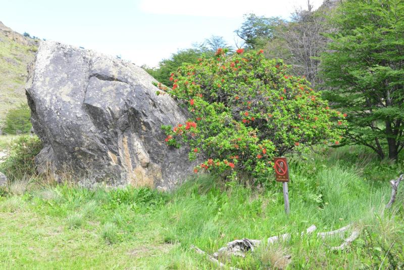 el_chalten_038