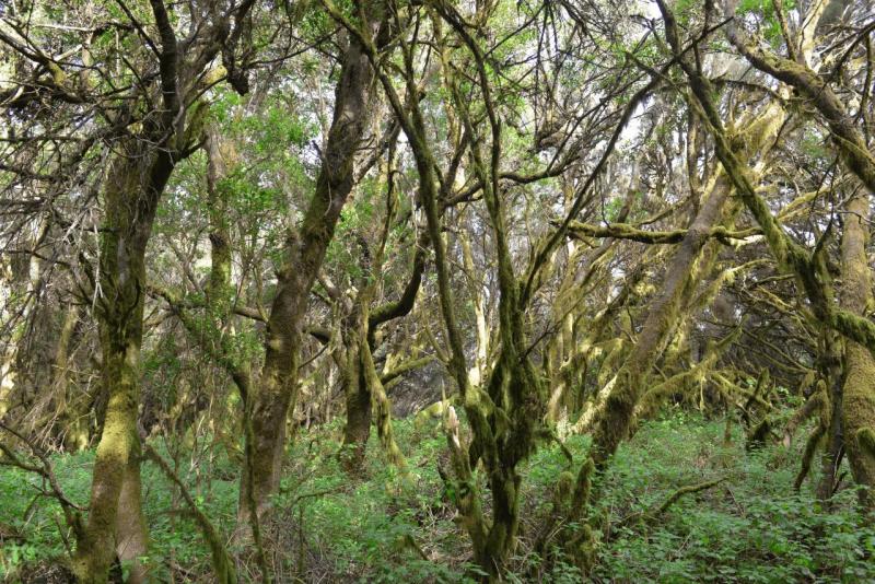 el_hiero_hike_llania_008