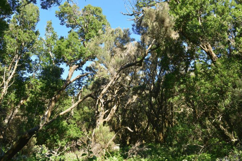 el_hiero_hike_llania_010