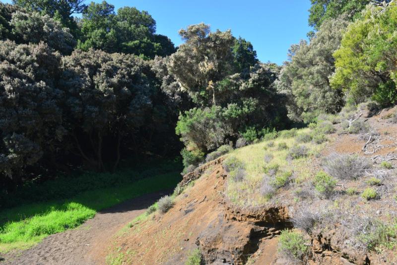 el_hiero_hike_llania_012