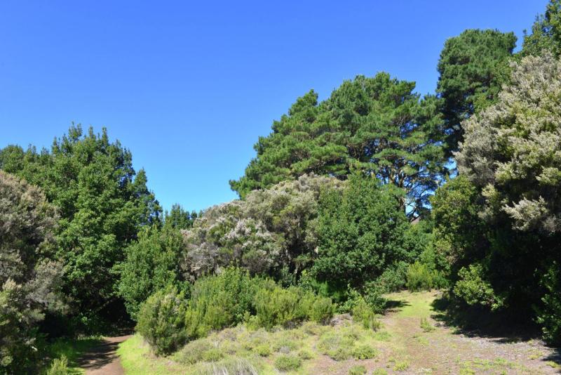 el_hiero_hike_llania_013