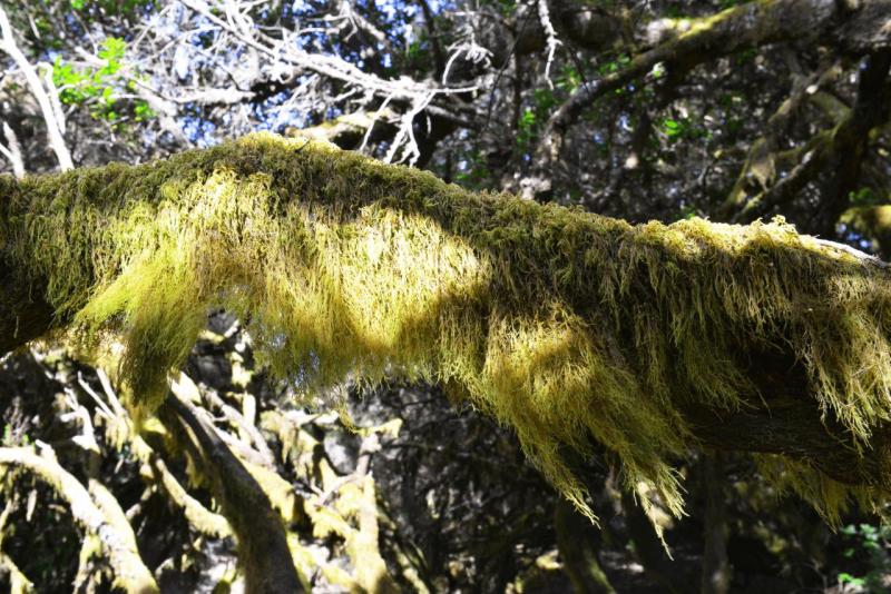 el_hiero_hike_llania_018
